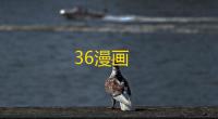 36漫画